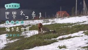Fotograma del episodio 50: Episodio 50