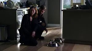 Fotograma del episodio 9: Perros y Perritos