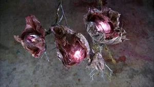Fotograma del episodio 8: Episodio 8