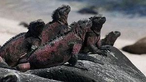 Fotograma del episodio 11: Episodio 11