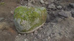 Fotograma del episodio 12: Episodio 12
