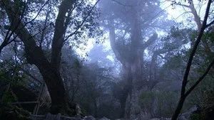 Fotograma del episodio 17: Episodio 17