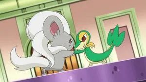 Fotograma del episodio 1: ¡Bellezas en la batalla por orgullo y prestigio!
