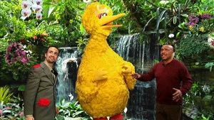 Fotograma del episodio 29: Episodio 29