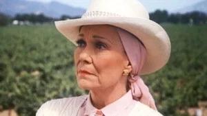 Fotograma del episodio 1: Episodio 1
