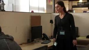 Fotograma del episodio 15: Episodio 15