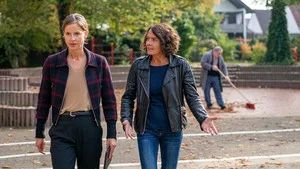 Fotograma del episodio 17: Episodio 17