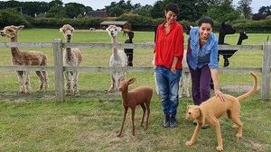 Fotograma del episodio 31: Episodio 31
