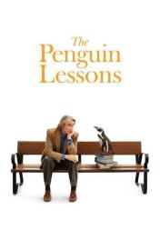 Lecciones de un pingüino