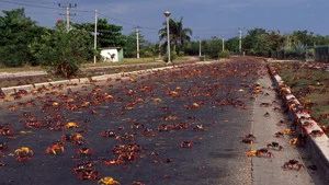 Fotograma del episodio 6: Episodio 6