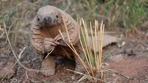 Fotograma del episodio 16: Episodio 16