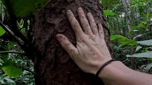 Fotograma del episodio 3: Episodio 3