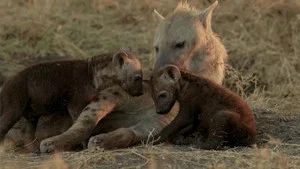 Fotograma del episodio 13: Episodio 13
