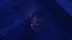 Fotograma del episodio 48: Episodio 48