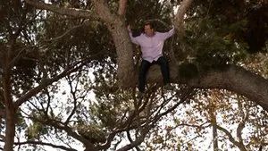 Fotograma del episodio 9: Cuando cae un árbol
