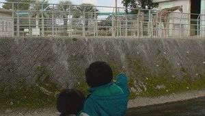 Fotograma del episodio 8: Episodio 8