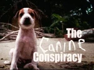 Fotograma del episodio 13: Episodio 13