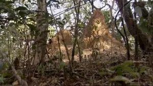 Fotograma del episodio 13: Episodio 13