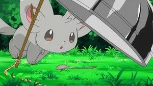 Fotograma del episodio 13: ¡Minccino - Limpio Y Prolijo!