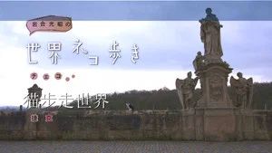 Fotograma del episodio 45: Episodio 45