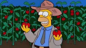 Fotograma del episodio 5: Homero granjero