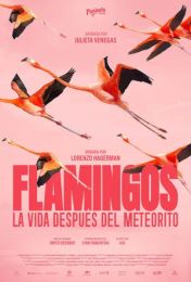 Flamingos: La vida después del meteorito