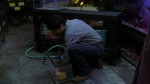 Fotograma del episodio 13: Episodio 13