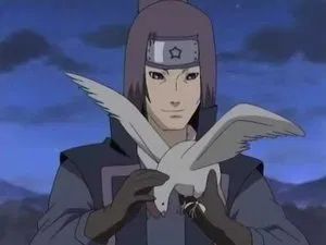 Fotograma del episodio 180: ¡Jutsu escondido! ¡El precio del arte ninja Kujaku!*
