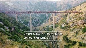Fotograma del episodio 5: Episodio 5