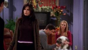Fotograma del episodio 8: Chandler odia a los perros