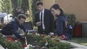 Fotograma del episodio 20: El Pinocho en la jardinera