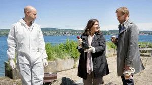 Fotograma del episodio 7: Episodio 7