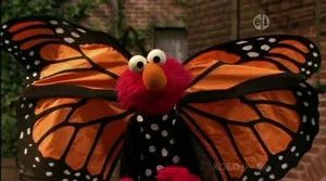 Fotograma del episodio 12: Episodio 12