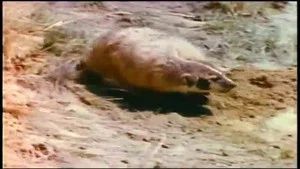 Fotograma del episodio 12: Episodio 12