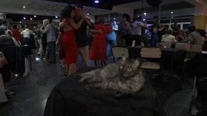 Fotograma del episodio 138: Episodio 138