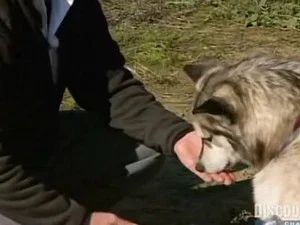 Fotograma del episodio 5: Episodio 5
