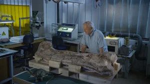 Fotograma del episodio 9: Episodio 9
