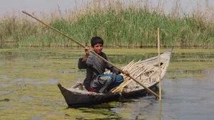 Fotograma del episodio 9: Episodio 9