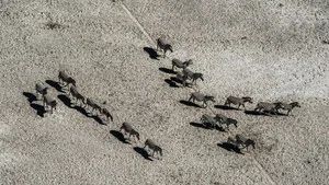 Fotograma del episodio 6: Episodio 6
