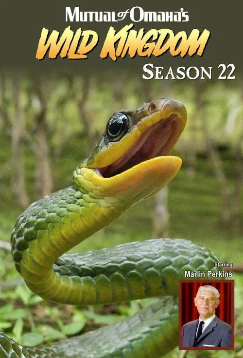 Mutual of Omaha's Wild Kingdom: Temporada 22