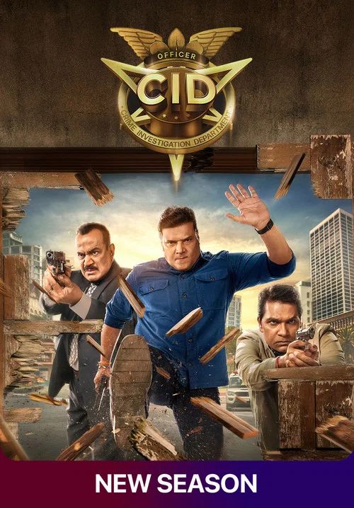 C.I.D: Temporada 2