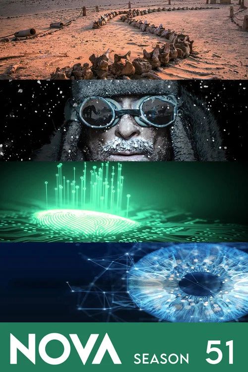 Nova: Temporada 51
