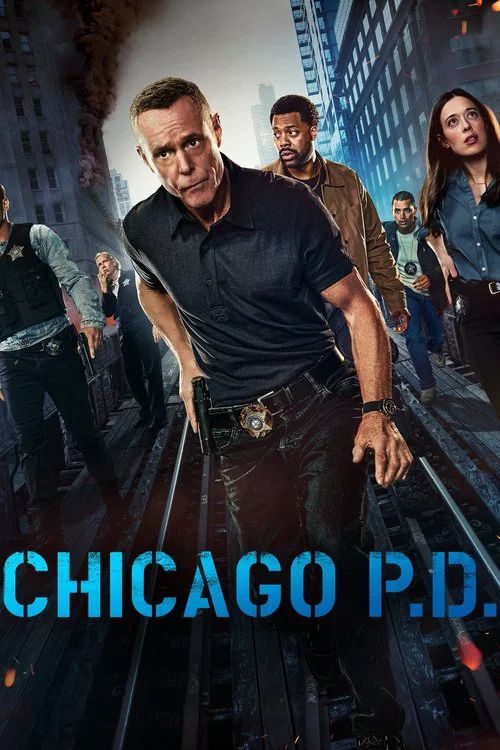 Policías de Chicago: Temporada 12