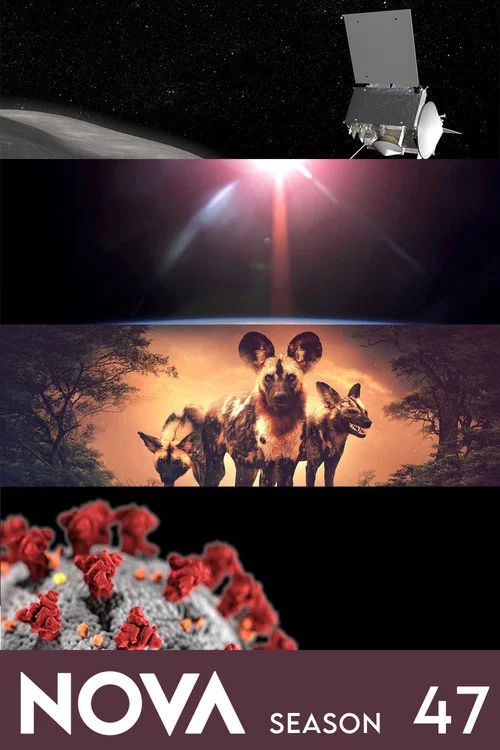 Nova: Temporada 47