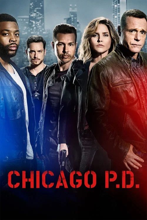 Policías de Chicago: Temporada 4