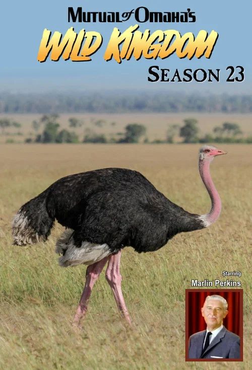Mutual of Omaha's Wild Kingdom: Temporada 23