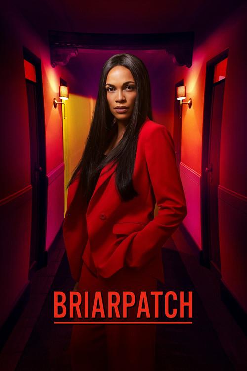 Briarpatch: Temporada 1