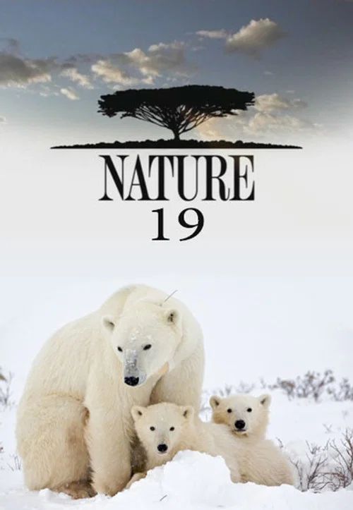 Nature: Temporada 19