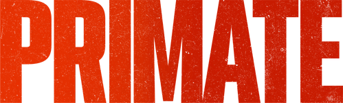 Primate