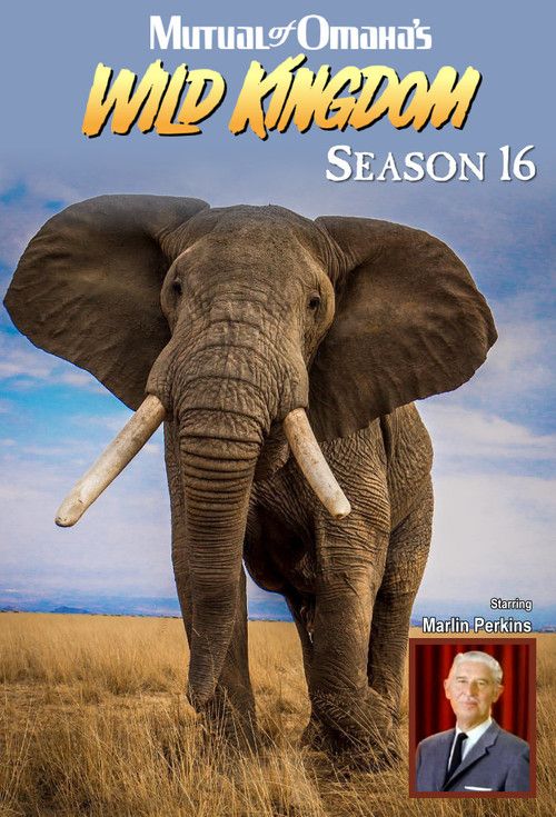 Mutual of Omaha's Wild Kingdom: Temporada 16